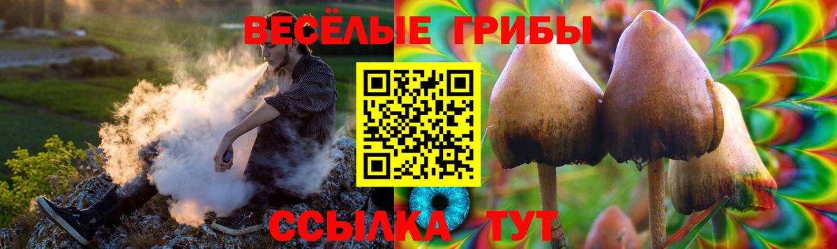 Галлюциногенные грибы Psilocybine cubensis Соль-Илецк